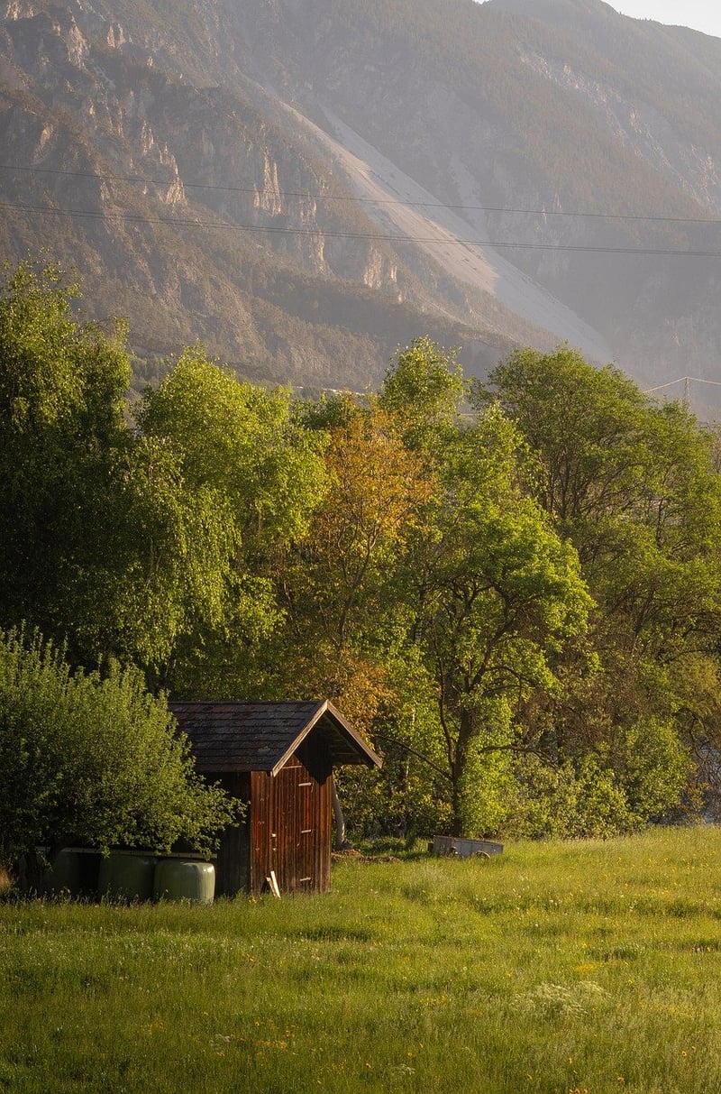 Forest Hut