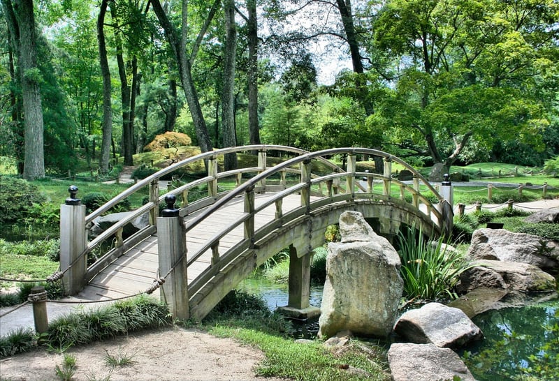 Green landscape